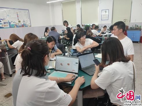 成都武侯區全面啟動教師信息技術應用能力提升工程，賦能教育現代化與區域人才發展